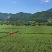 Untere Savinja-Tal. Fotografie: Nea Culpa, www.slovenia.info