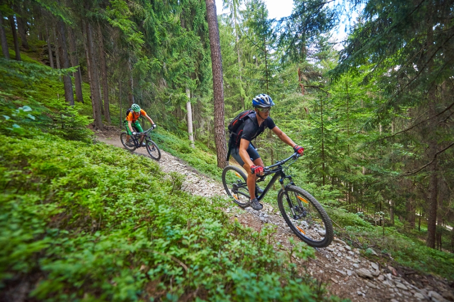 Single trail park jamnica on sale