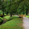 Park v termah Dobrna