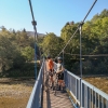 Hängebrücke Celje
